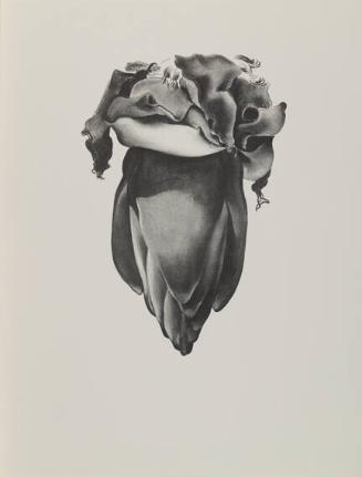 VIII Banana Flower. 1933
