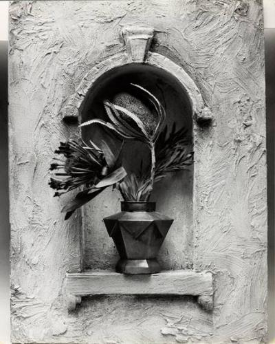 untitled (plant in archway)