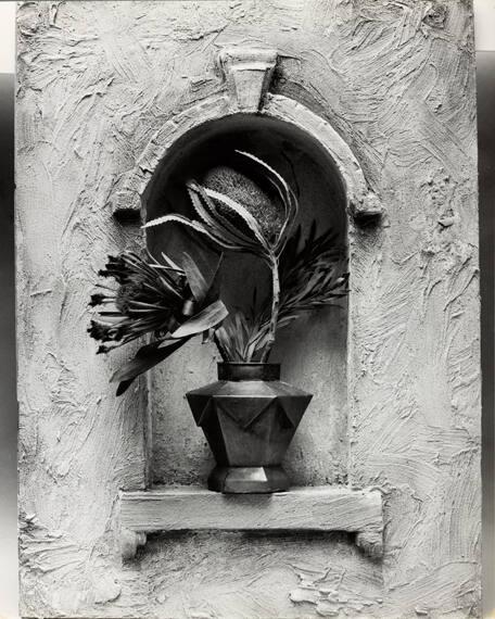 untitled (plant in archway)