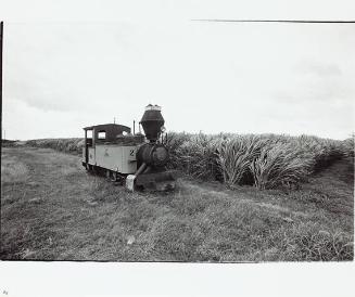 untitled (train engine in field)