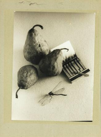 Pear Still Life