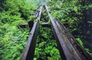 Murmur Trestle