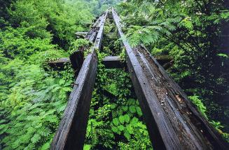 Murmur Trestle