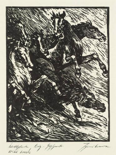 Wildpferde (Wild Horses)