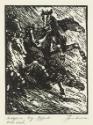 Wildpferde (Wild Horses)