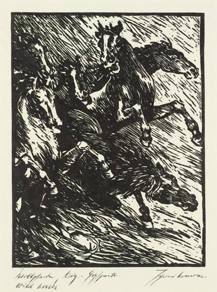 Wildpferde (Wild Horses)