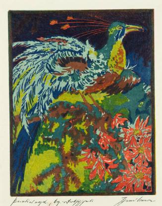 Bird of Paradise
