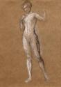 Nude Drawing