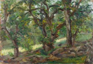 untitled (Forest scene)