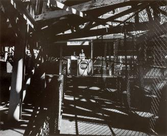 Roller Coaster, Entrance, CI, NY
