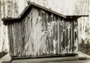 Untitled (Shack)