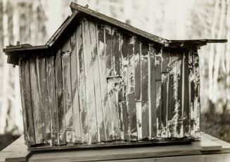 Untitled (Shack)