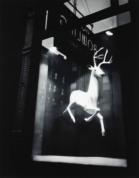 Designer's Window
