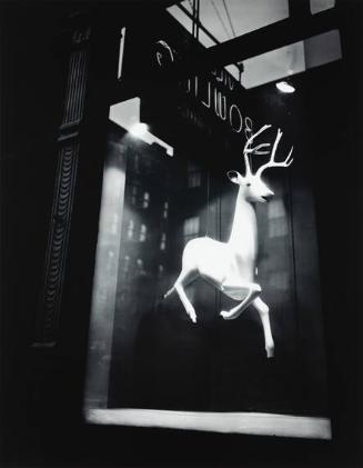 Designer's Window