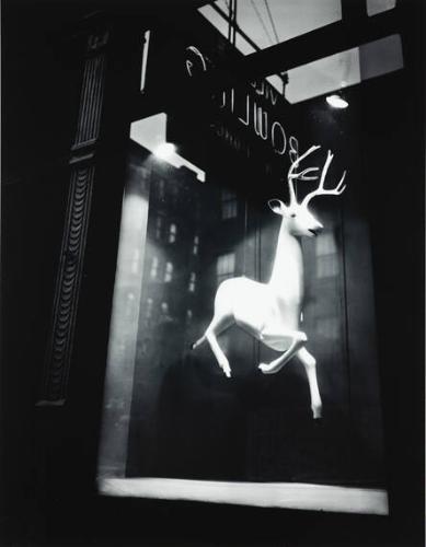 Designer's Window