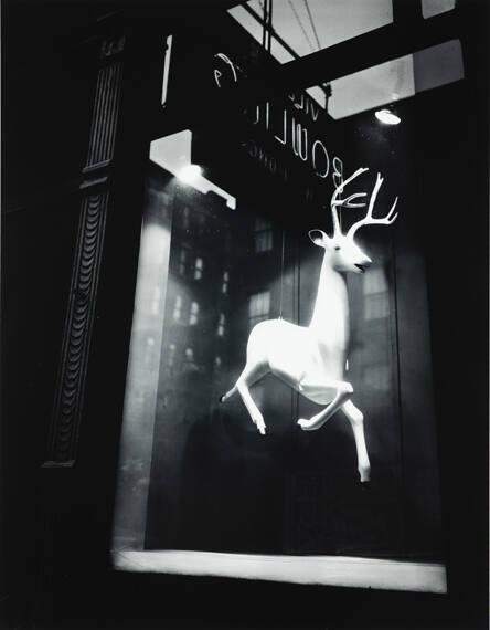 Designer's Window