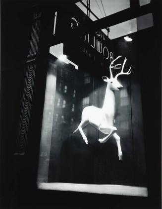 Designer's Window