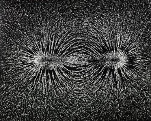 Science (Magnetic)