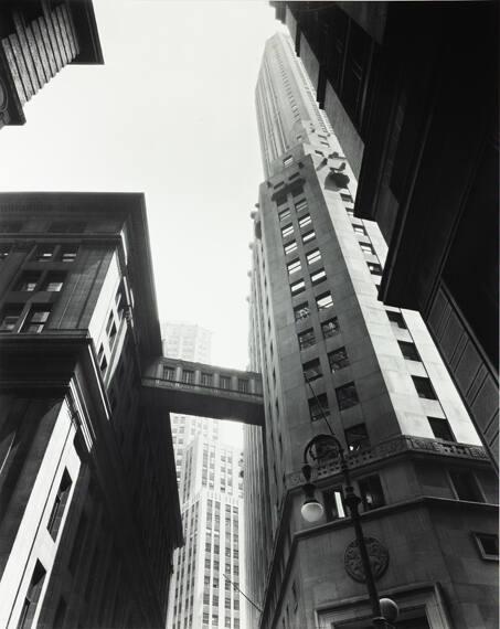 Canyon: Stone and William Streets, New York