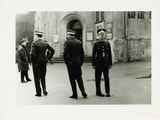 Marines, London Zoo