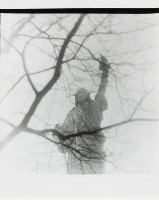 New York (Statue of Liberty)