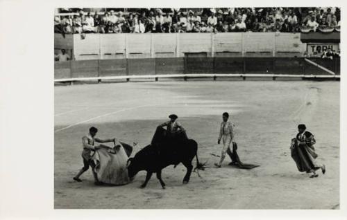 Nimes