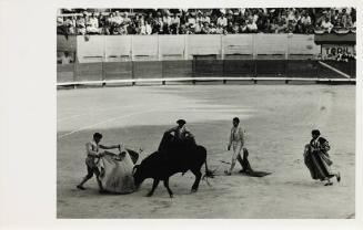 Nimes