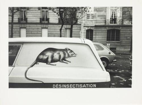 Paris (exterminator)