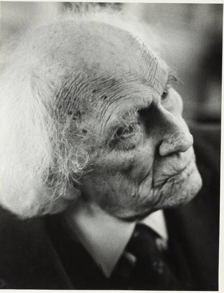 Portrait (white hair)