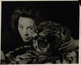 untitled (woman and tiger)