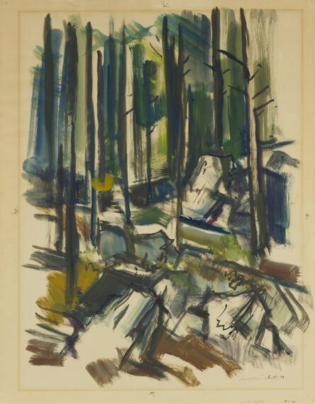untitled (Monhegan forest)