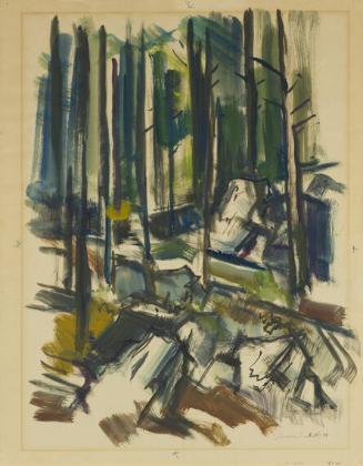 untitled (Monhegan forest)