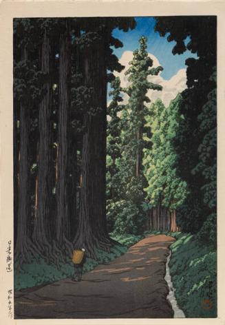 Cryptomeria Avenue, Nikko