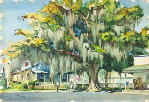 Savannah Scene