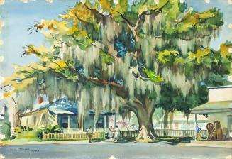 Savannah Scene