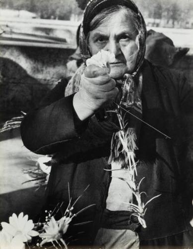 untitled (old woman)