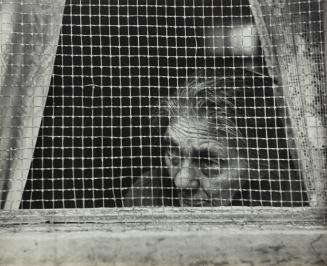 Upper Eastside (woman looking through window)