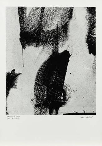 Jalapa (Homage to Franz Kline) 10