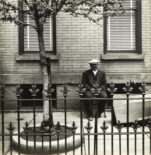untitled (man sitting on bench behind gate)