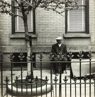 untitled (man sitting on bench behind gate)
