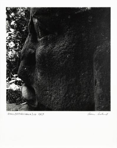 Olmec, Villahermosa 13