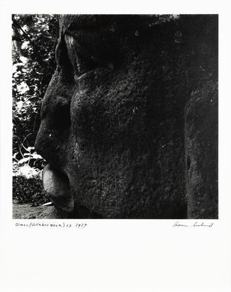 Olmec, Villahermosa 13