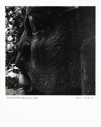 Olmec, Villahermosa 13