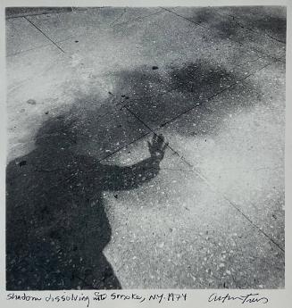 Shadow Dissolving into Smoke, NY

