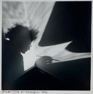 Shadow: Calls and Messages
