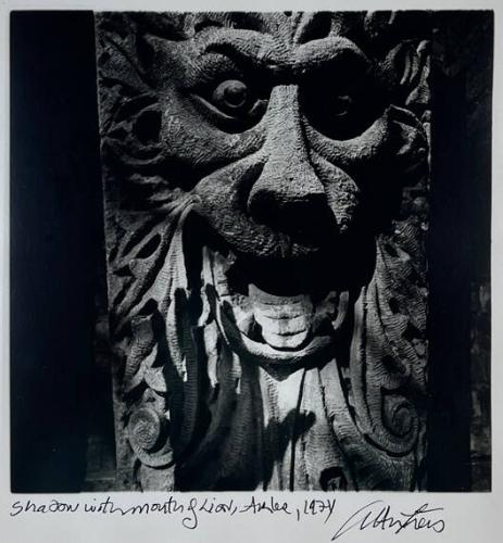 Shadow with Mouth of Lion, Arles
