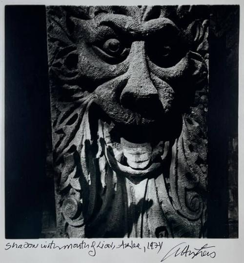 Shadow with Mouth of Lion, Arles
