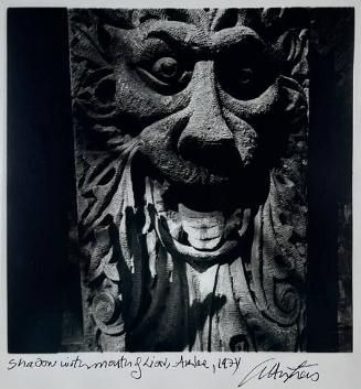 Shadow with Mouth of Lion, Arles
