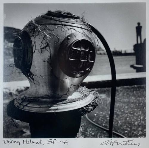 Diving Helmut, SF, CA
