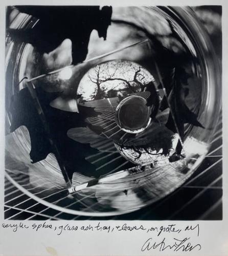 Acrylic Sphere, Glass Ashtray and Leaves on Grate, NY
